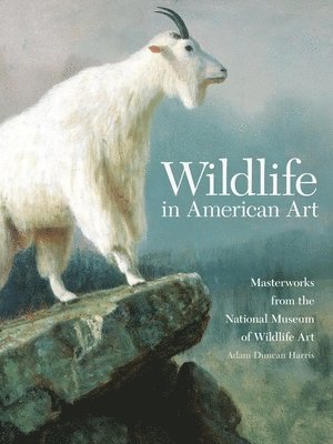 bokomslag Wildlife in American Art
