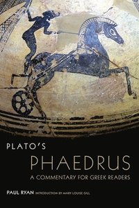bokomslag Plato's Phaedrus