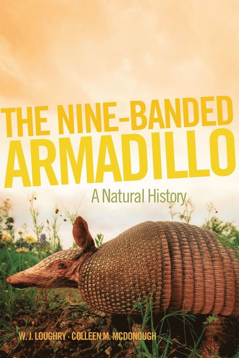 Nine-Banded Armadillo