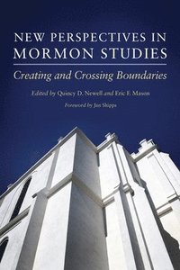 bokomslag New Perspectives in Mormon Studies