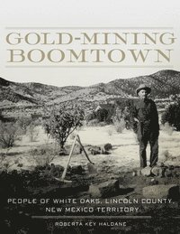 bokomslag Gold-Mining Boomtown