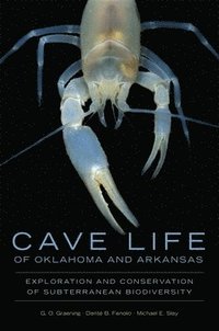 bokomslag Cave Life of Oklahoma and Arkansas