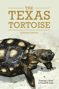 bokomslag The Texas Tortoise