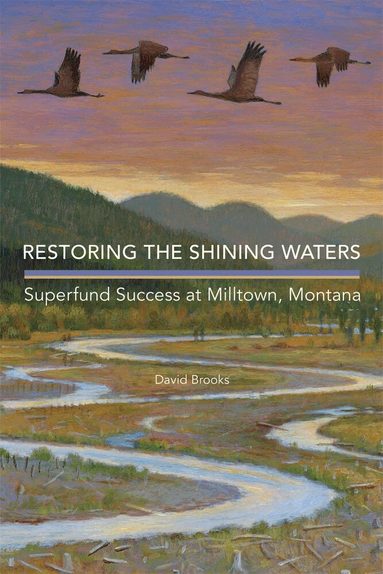 David Brooks - Restoring the Shining Waters, Inbunden