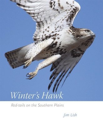James W. Lish - Winter's Hawk, Häftad
