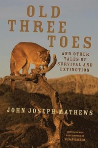 bokomslag Old Three Toes and Other Tales of Survival and Extinction