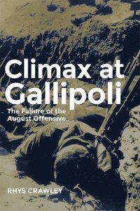 bokomslag Climax at Gallipoli