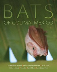 bokomslag Bats of Colima, Mexico