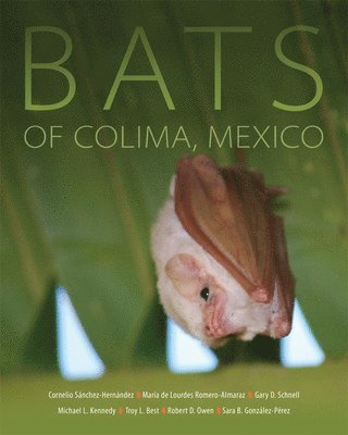 Bats of Colima, Mexico 1