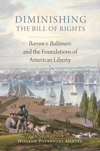 bokomslag Diminishing the Bill of Rights