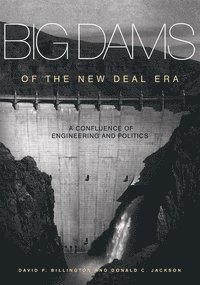 bokomslag Big Dams of the New Deal Era