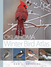bokomslag Oklahoma Winter Bird Atlas