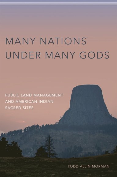 bokomslag Many Nations Under Many Gods