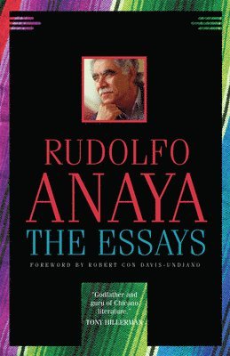 Essays