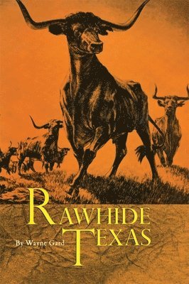 bokomslag Rawhide Texas
