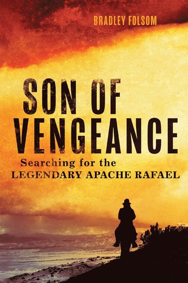 bokomslag Son of Vengeance