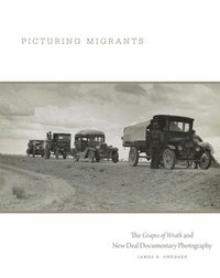 bokomslag Picturing Migrants