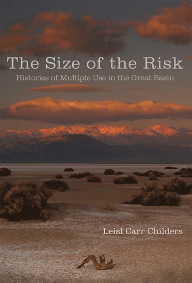 bokomslag Size of the Risk