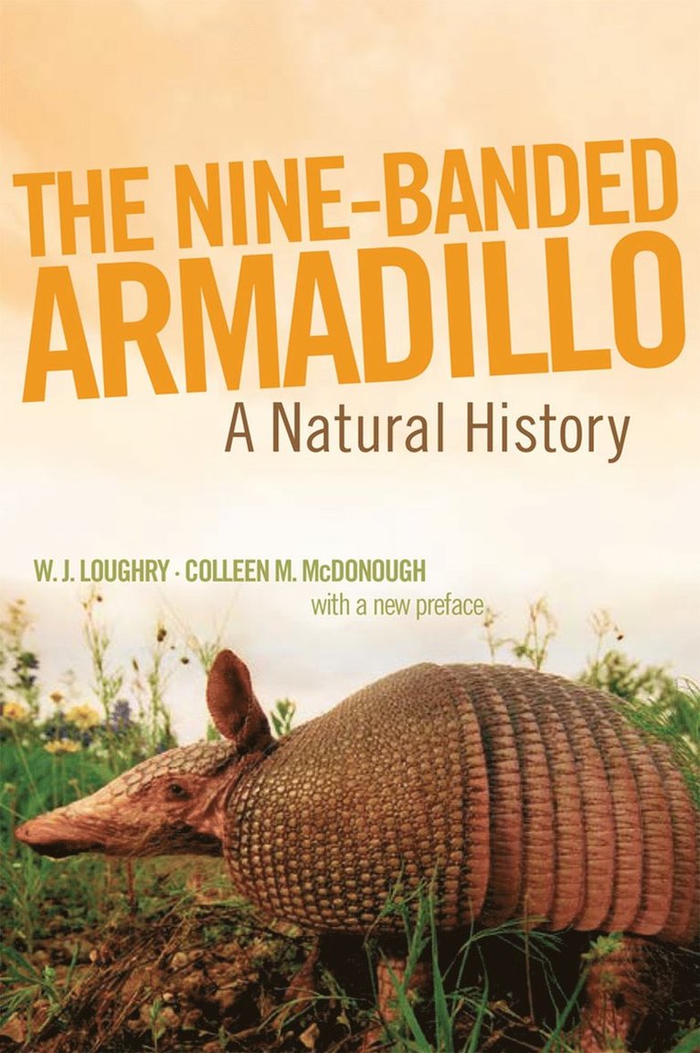 Nine-Banded Armadillo