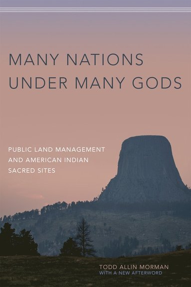 bokomslag Many Nations Under Many Gods