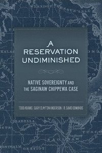 bokomslag A Reservation Undiminished