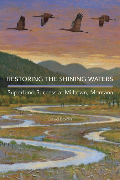 David Brooks - Restoring the Shining Waters, Häftad
