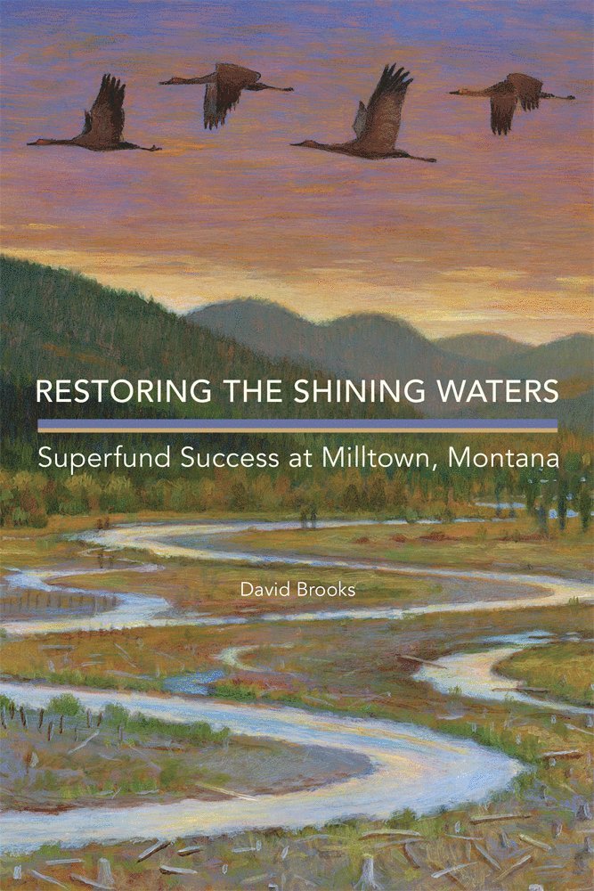 David Brooks - Restoring the Shining Waters, Häftad