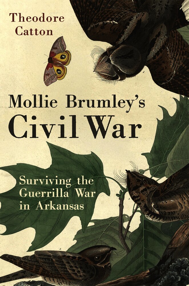 Mollie Brumley's Civil War