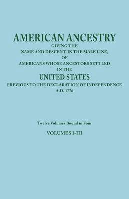 bokomslag American Ancestry