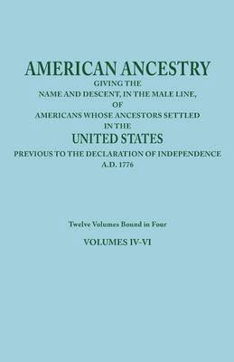 bokomslag American Ancestry