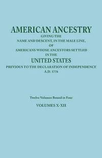 bokomslag American Ancestry