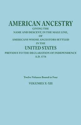 bokomslag American Ancestry