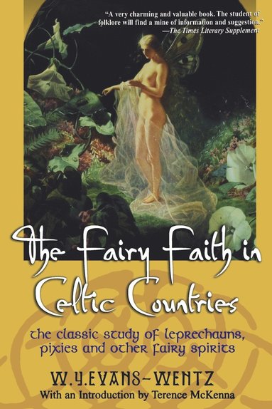 bokomslag Fairy Faith In Celtic Countries