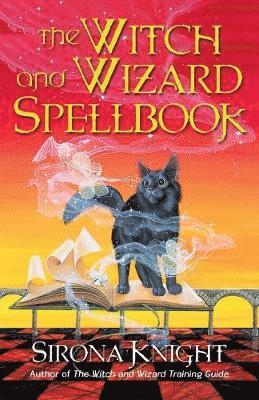 bokomslag The Witch and Wizard Spellbook
