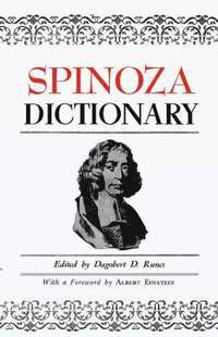 bokomslag Spinoza Dictionary