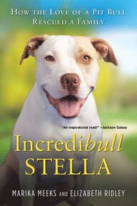 bokomslag Incredibull Stella