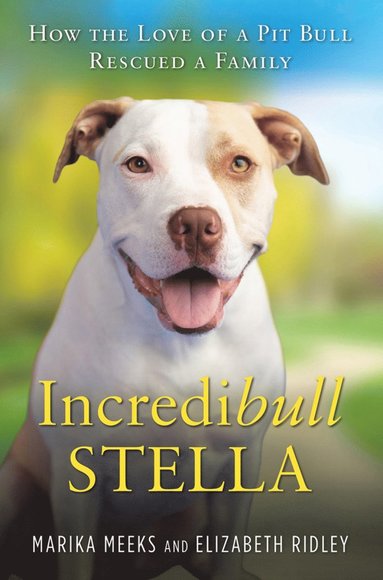 bokomslag Incredibull Stella