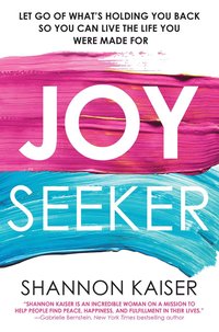 bokomslag Joy Seeker