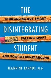 bokomslag The Disintegrating Student