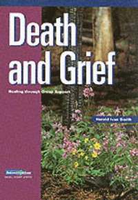 bokomslag Death and Grief