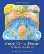 bokomslag Water Come Down: The Day You Were Baptized