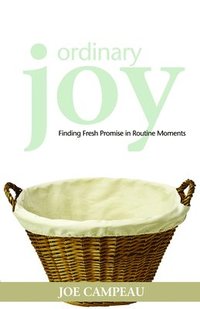 bokomslag Ordinary Joy