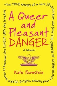 bokomslag A Queer and Pleasant Danger