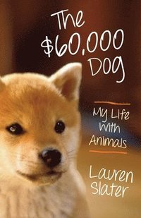 bokomslag The $60,000 Dog