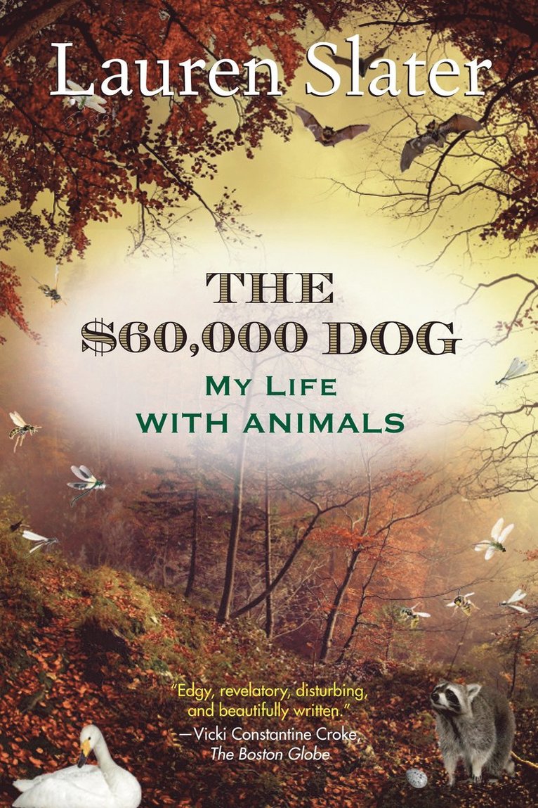 $60,000 Dog