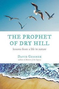 bokomslag The Prophet of Dry Hill