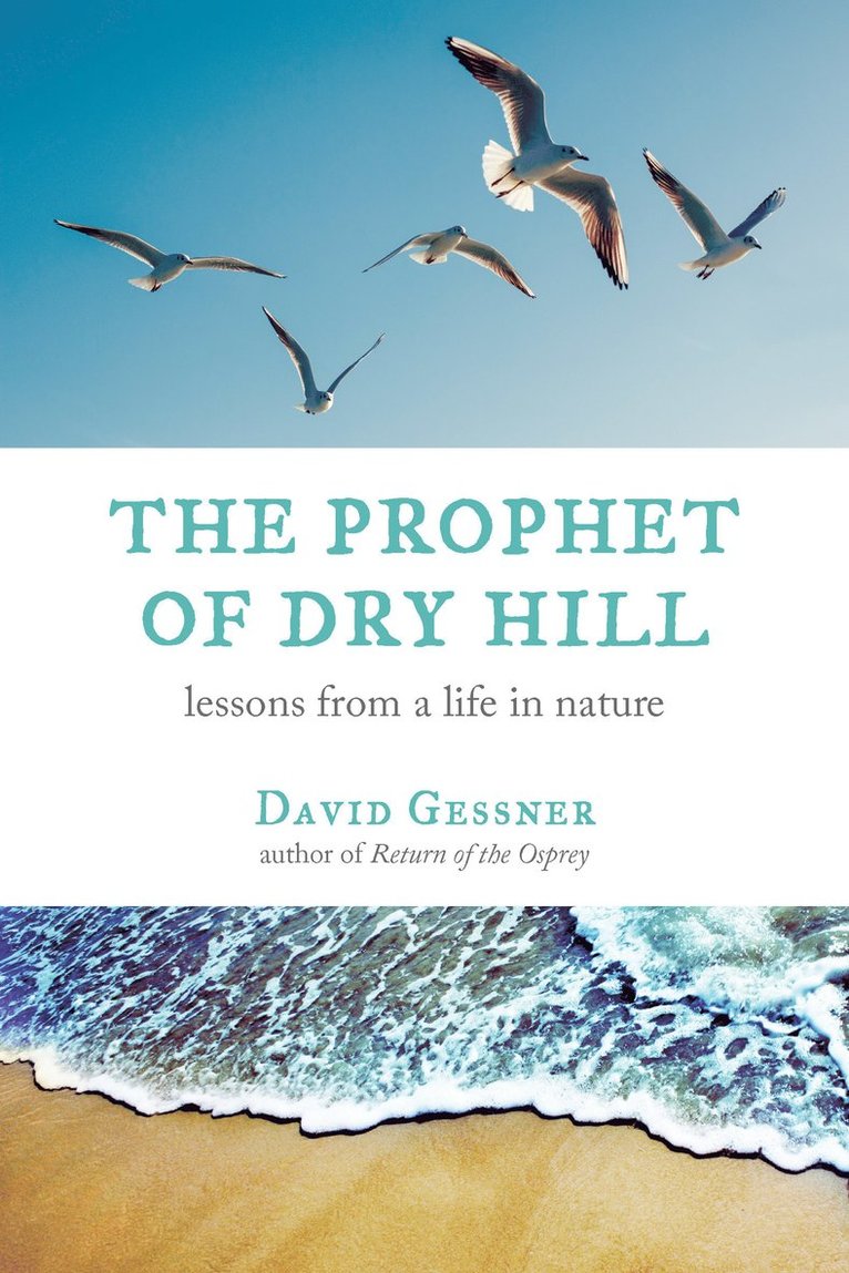 Prophet of Dry Hill