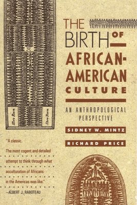 bokomslag The Birth of African-American Culture