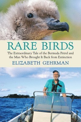 Rare Birds 1