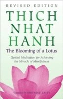 The Blooming of a Lotus 1